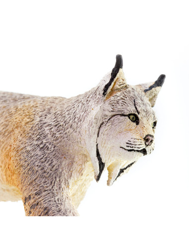 Safari Ltd. Rys