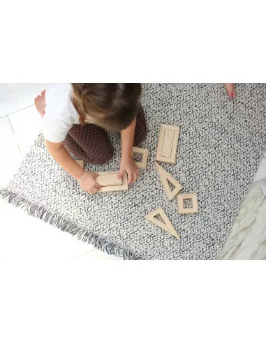 PlanToys Duté bloky