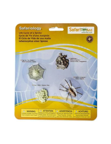 Safari Ltd. Životní cyklus - Pavouk