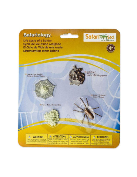 Safari Ltd. Životní cyklus - Pavouk