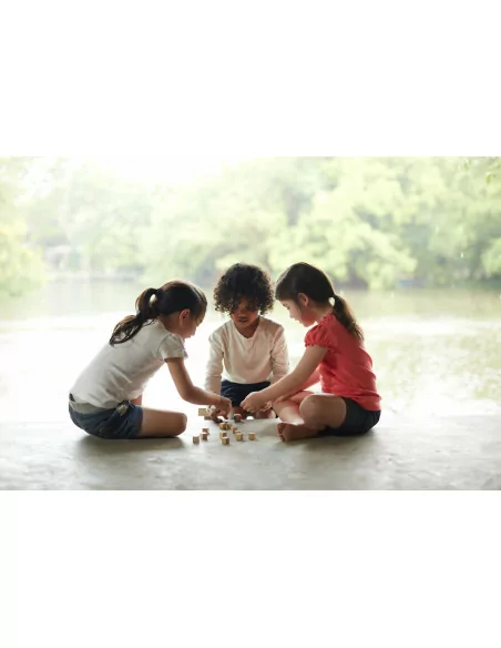 PlanToys Mini-pexeso