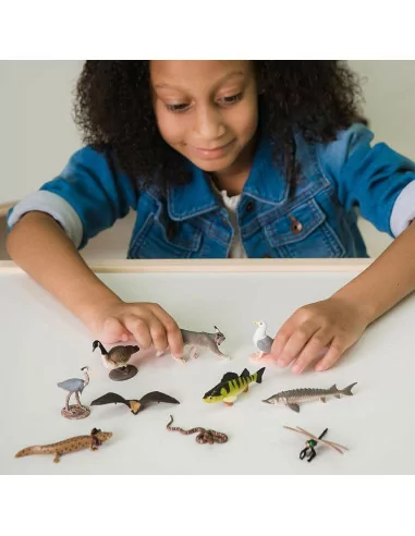 Safari Ltd. Tuba - Velká jezera