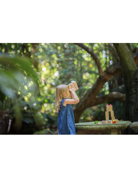 PlanToys Kostky s vodou