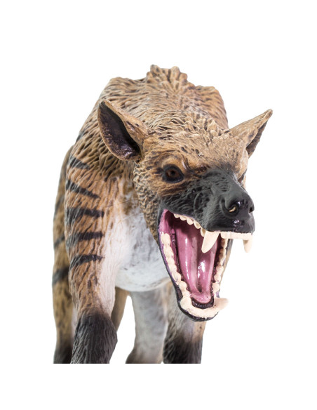 Safari Ltd. Figurka - Hyaenodon gigas