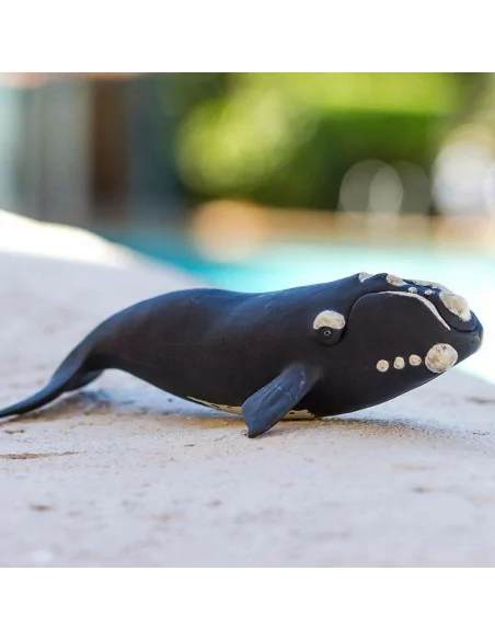 Safari Ltd. Figurka - Velryba jižní