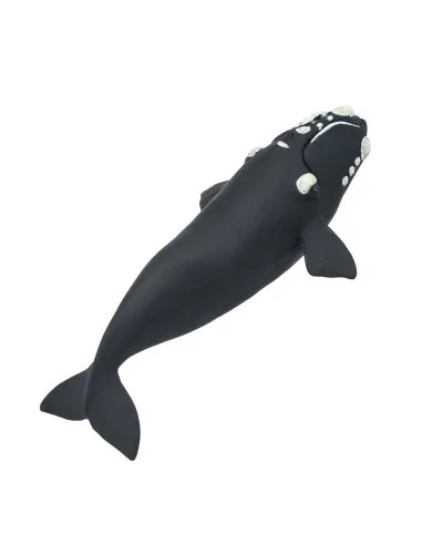 Safari Ltd. Figurka - Velryba jižní