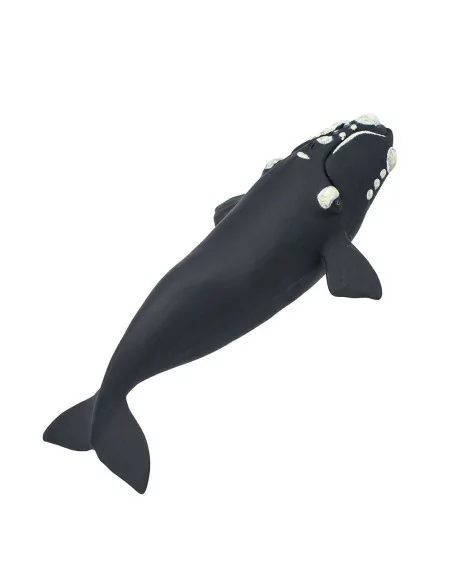 Safari Ltd. Figurka - Velryba jižní