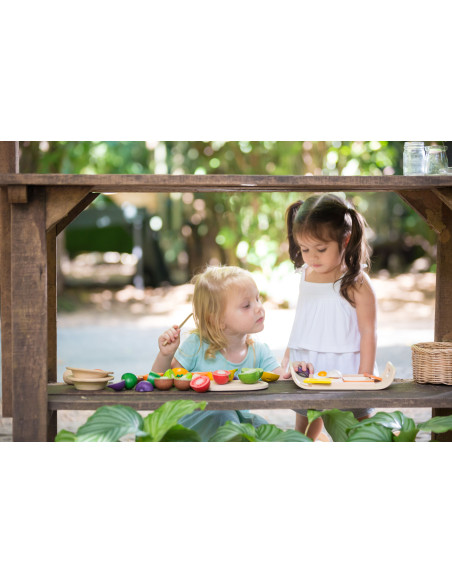 PlanToys Ovoce a zelenina