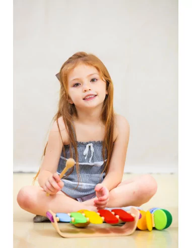 PlanToys Oválný xylofon