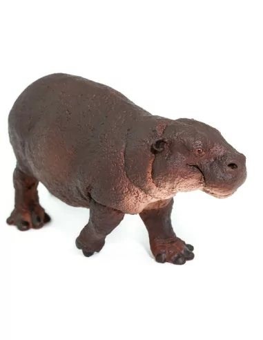 Safari Ltd. Figurka - Hrošík liberijský