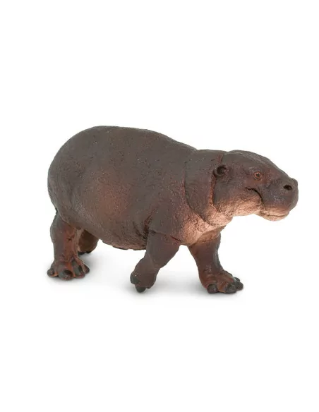 Safari Ltd. Figurka - Hrošík liberijský