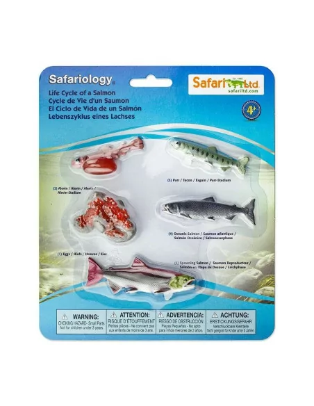 Safari Ltd. Životní cyklus - Losos