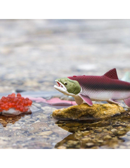 Safari Ltd. Životní cyklus - Losos