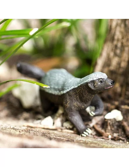 Safari Ltd. Figurka - Medojed kapský