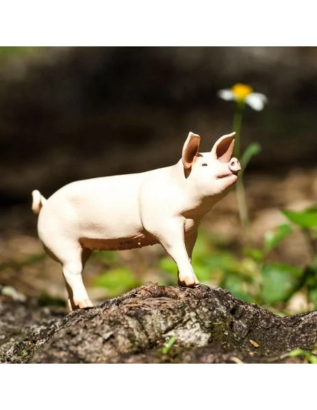 Safari Ltd. Figurka - Prase domácí