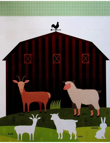 Moje první kniha o domácích zvířatech