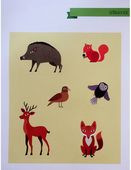 Moje první kniha o zvířatech z lesa
