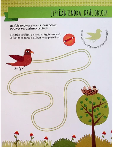 Moje první kniha o zvířatech z lesa