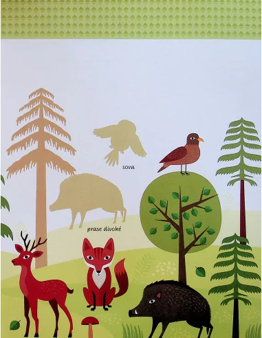 Moje první kniha o zvířatech z lesa