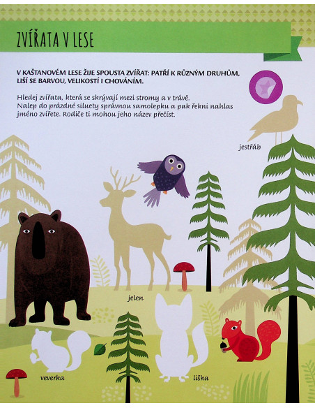 Moje první kniha o zvířatech z lesa