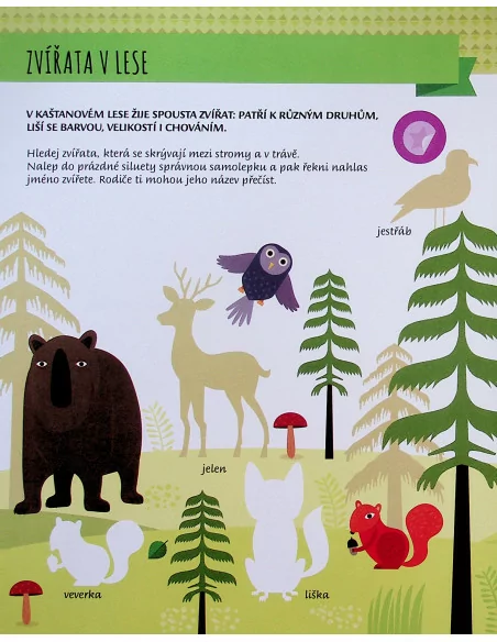Moje první kniha o zvířatech z lesa