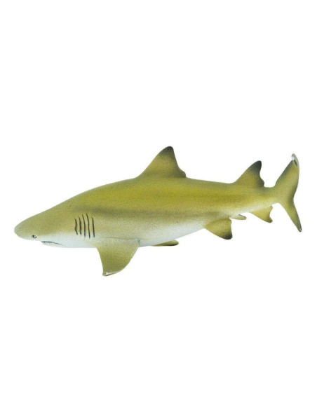 Safari Ltd. Žralok citronový