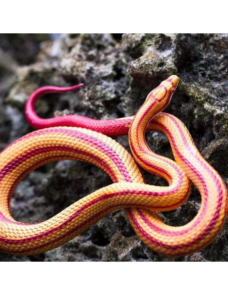 Safari Ltd. Figurka - Užovka červená