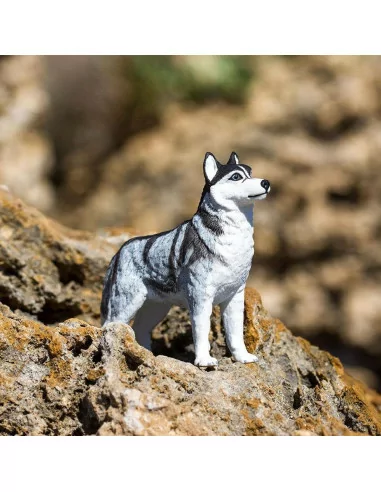 Safari Ltd. Figurka - Sibiřský husky