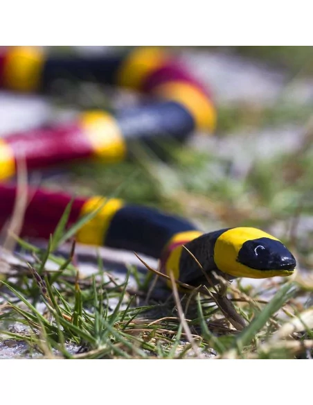 Safari Ltd. Korálovec