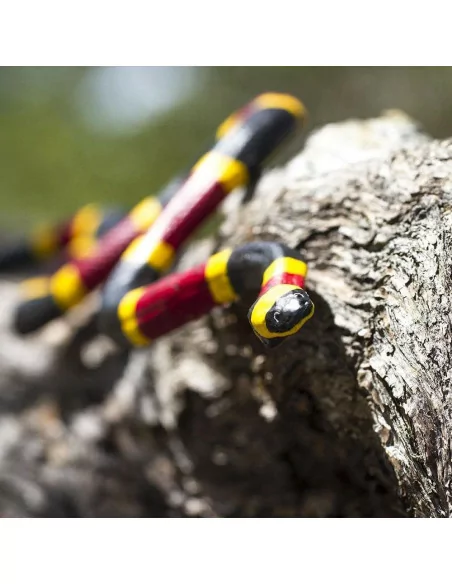 Safari Ltd. Korálovec