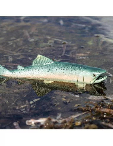 Safari Ltd. Figurka - Losos