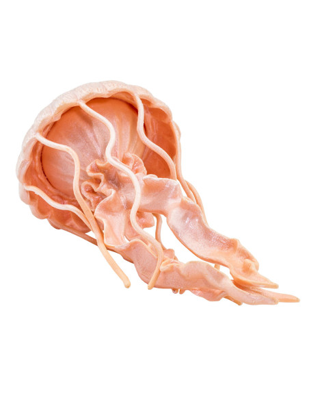 Safari Ltd. Figurka - Medúza