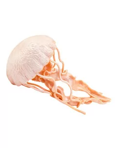 Safari Ltd. Figurka - Medúza