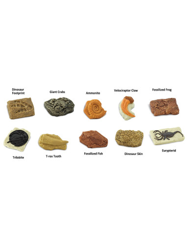 Safari Ltd. Tuba - Fosílie