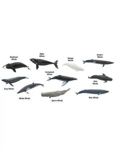 Safari Ltd. Tuba - Velryby