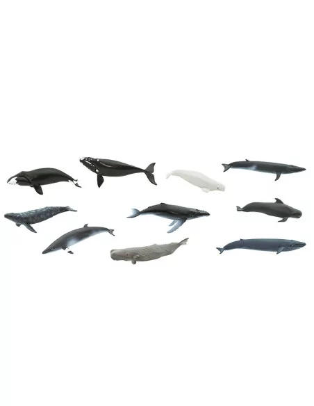 Safari Ltd. Tuba - Velryby