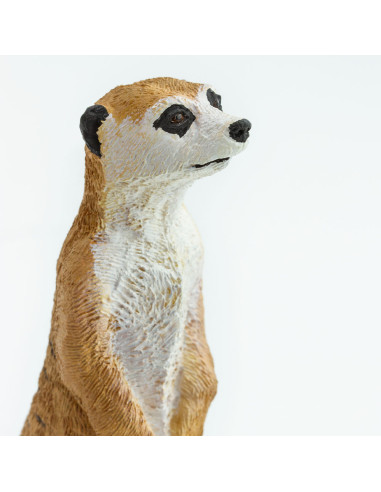Safari Ltd. Figurka - Surikata