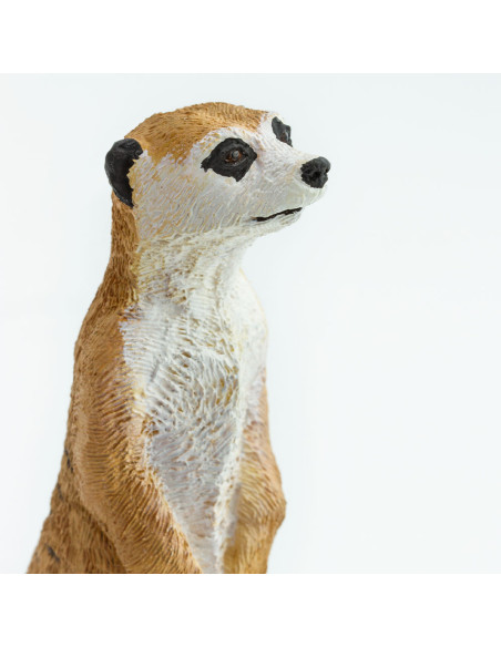 Safari Ltd. Figurka - Surikata