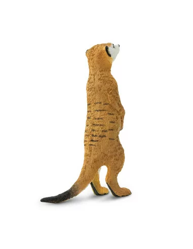 Safari Ltd. Figurka - Surikata