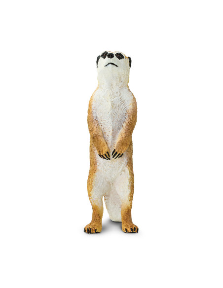 Safari Ltd. Figurka - Surikata