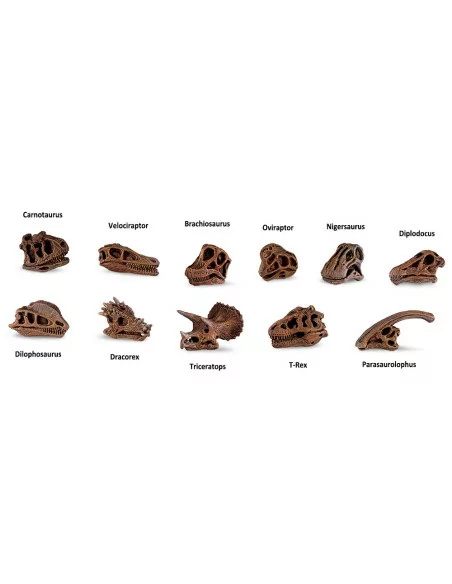 Safari Ltd. Tuba - Lebky dinosaurů