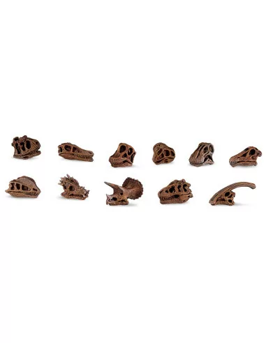 Safari Ltd. Tuba - Lebky dinosaurů