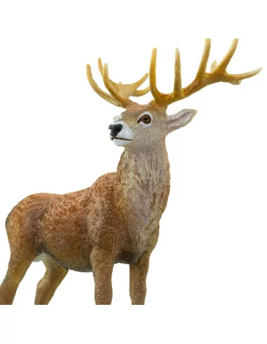 Safari Ltd. Figurka - Jelen lesní