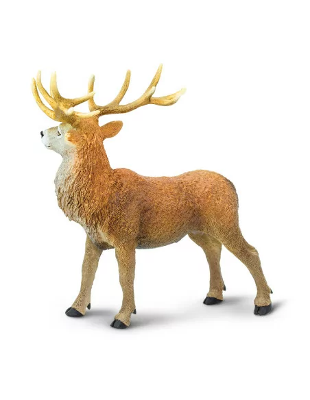 Safari Ltd. Figurka - Jelen lesní