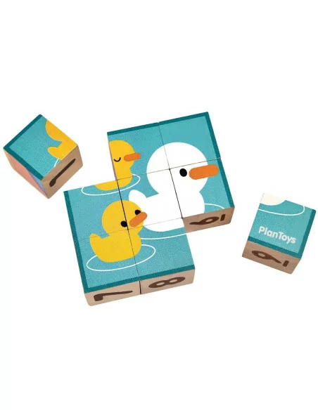 PlanToys Obrázkové kostky