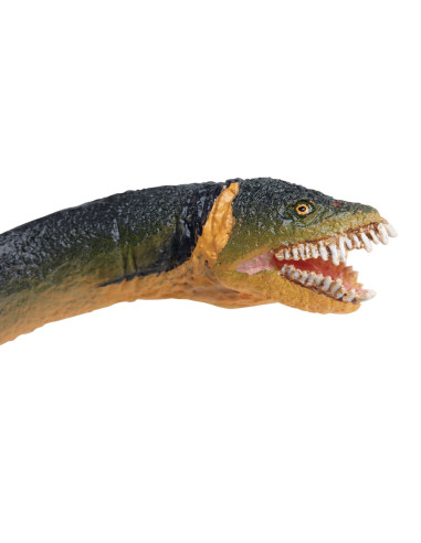 Safari Ltd. Elasmosaurus