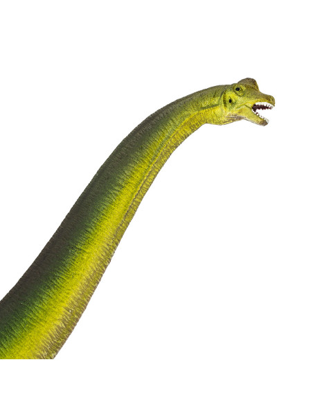 Safari Ltd. Brachiosaurus