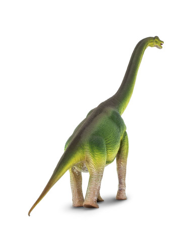 Safari Ltd. Brachiosaurus