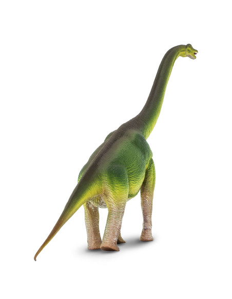Safari Ltd. Brachiosaurus