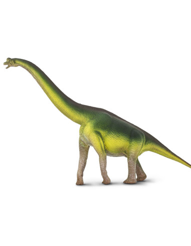 Safari Ltd. Brachiosaurus